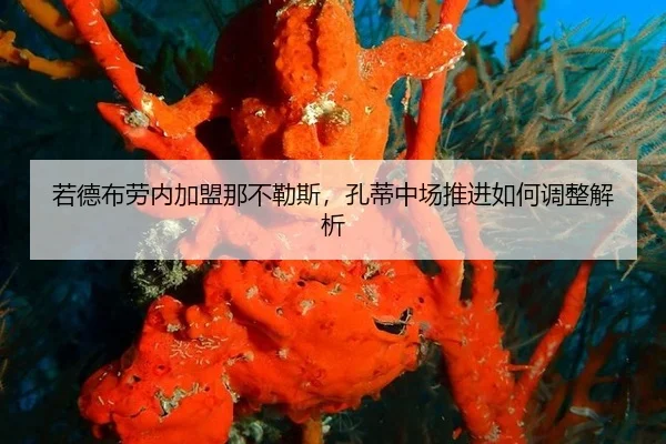 ruo-de-bu-lao-nei-jia-meng-na-bu-le-si-kong-di-zhong-chang-tui-jin-ru-he-tiao-zheng-jie-xi-2-937.jpg