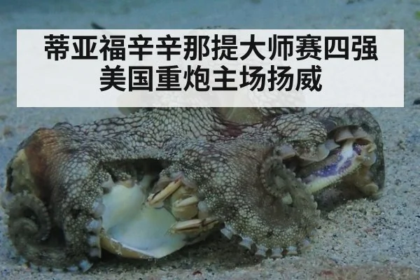 蒂亚福辛辛那提大师赛四强 美国重炮主场扬威